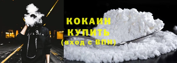 стаф Медногорск