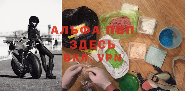 стаф Медногорск