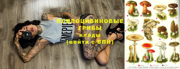 стаф Медногорск