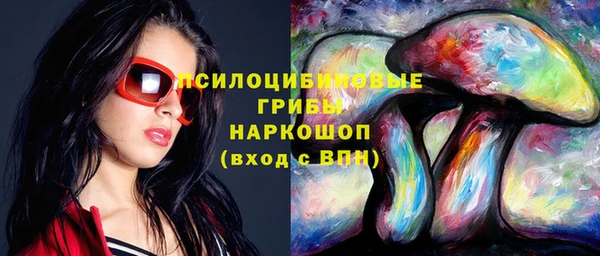 стаф Медногорск