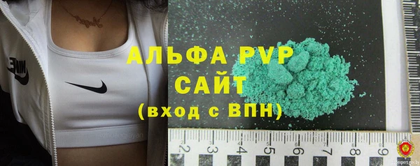 стаф Медногорск