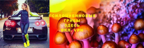 стаф Медногорск