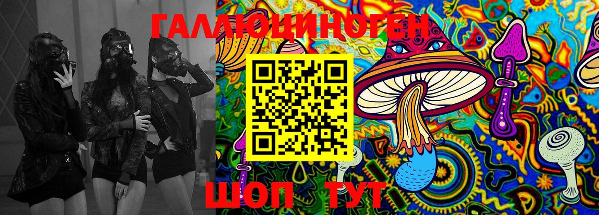 Галлюциногенные грибы Cubensis Аша